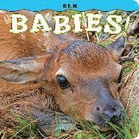 bokomslag Elk Babies!