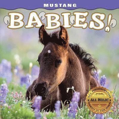 Mustang Babies! 1