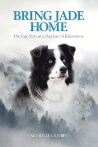bokomslag Bring Jade Home: The True Story of a Dog Lost in Yellowstone