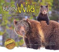 bokomslag Born Wild 2: In Yellowstone and Grand Teton National Parks