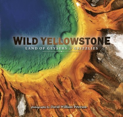 Wild Yellowstone: Land of Geysers and Grizzlies 1