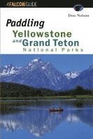 bokomslag Paddling Yellowstone And Grand Teton National Parks