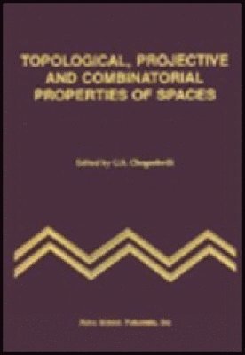 bokomslag Topological, Projective & Combinatorial Properties of Spaces