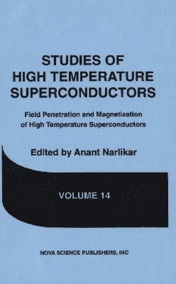 bokomslag Studies of High Temperature Superconductors, Volume 14