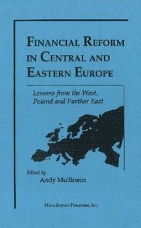 bokomslag Financial Reform in Central & Eastern Europe