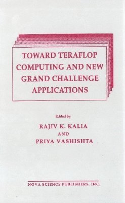 Toward Teraflop Computing & New Grand Challenge Applications 1