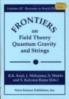 bokomslag Frontiers in Field Theory, Quantum Gravity & Strings