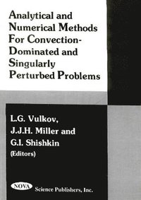 bokomslag Analytical & Numerical Methods for Convention-Dominated & Singularly Perturbed Problems