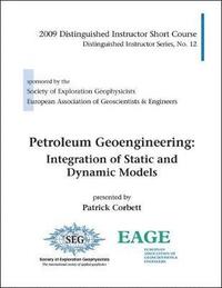 bokomslag Petroleum Geoengineering