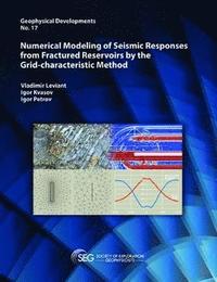 bokomslag Numerical Modeling of Seismic Responses from Fractured Reservoirs by the Grid-characteristic Method