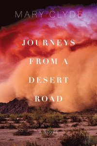 bokomslag Journeys from a Desert Road