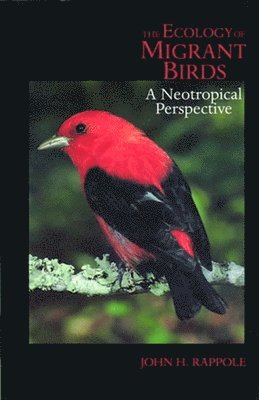 John H. Rappole, John H Rappole - Ecology of Migrant Birds, Häftad