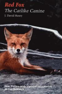 bokomslag Red Fox