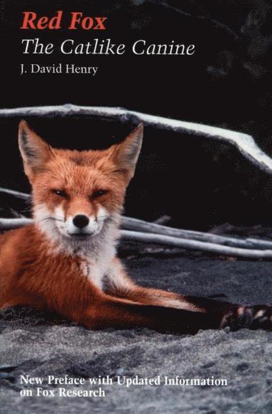 bokomslag Red Fox