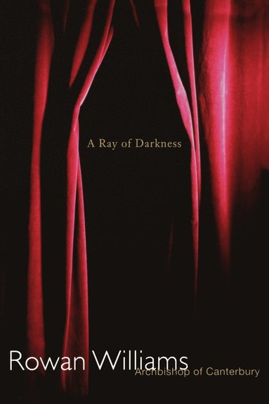 bokomslag Ray of Darkness