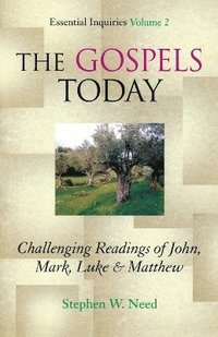 bokomslag Gospels Today