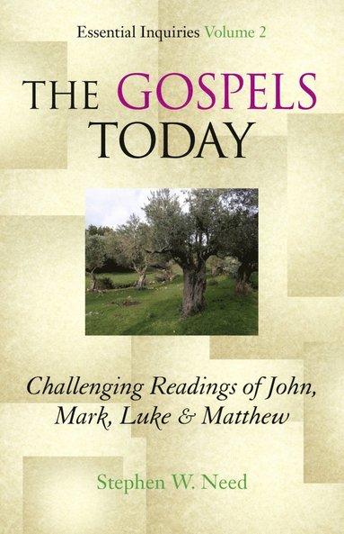 bokomslag Gospels Today