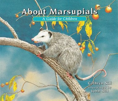 bokomslag About Marsupials