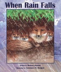 bokomslag When Rain Falls