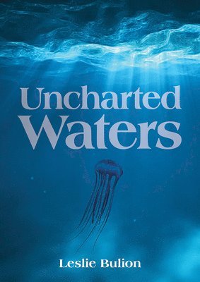 bokomslag Uncharted Waters