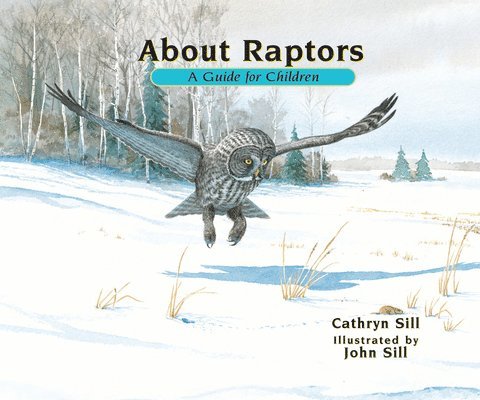 Cathryn Sill - About Raptors, Inbunden