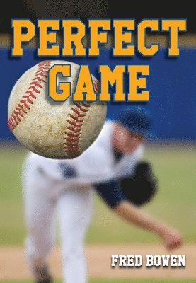 bokomslag Perfect Game