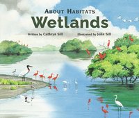 bokomslag Wetlands