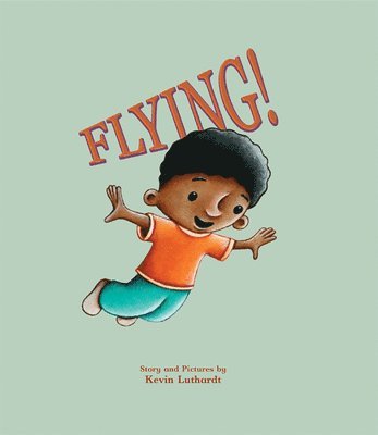 bokomslag Flying!