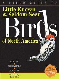 bokomslag A Field Guide to Little-known & Seldom-seen Birds of North America