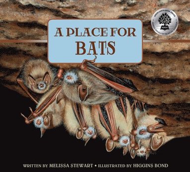 bokomslag A Place for Bats