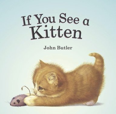 John Butler - If You See a Kitten, Häftad
