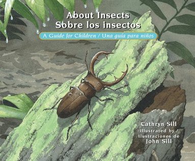 bokomslag About Insects/ Sobre Los Insectos