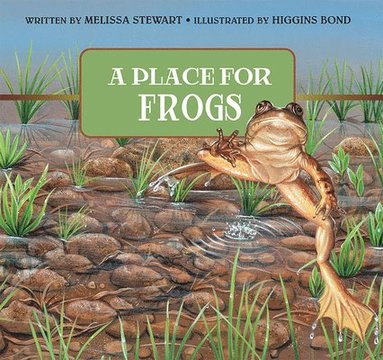 bokomslag A Place for Frogs