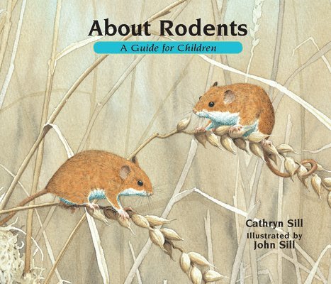 Cathryn Sill - About Rodents, Häftad