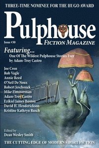 bokomslag Pulphouse Fiction Magazine Issue #30