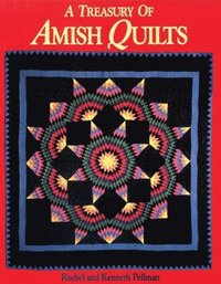 bokomslag Treasury of Amish Quilts