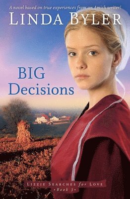 bokomslag Big Decisions: A Novel Based on True Experiences from an Amish Writer!