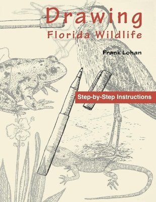 Frank Lohan - Drawing Florida Wildlife, Häftad