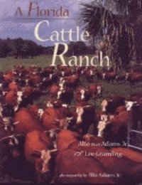 bokomslag A Florida Cattle Ranch