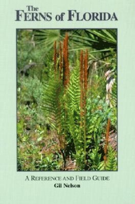 bokomslag The Ferns of Florida