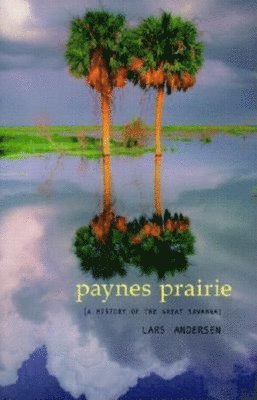 Paynes Prairie 1