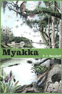 Myakka 1