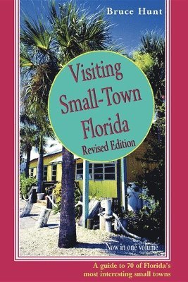 bokomslag Visiting Small-Town Florida