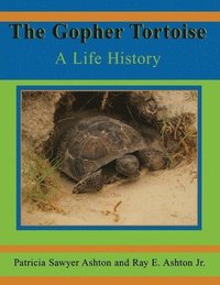bokomslag The Gopher Tortoise
