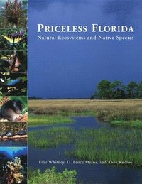 bokomslag Priceless Florida