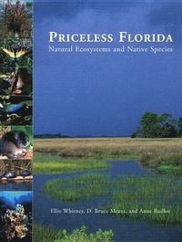 bokomslag Priceless Florida