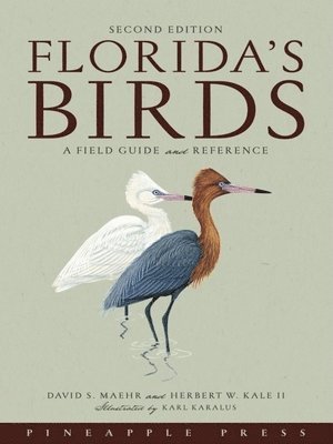 Florida's Birds 1