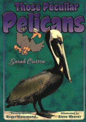 Those Peculiar Pelicans 1