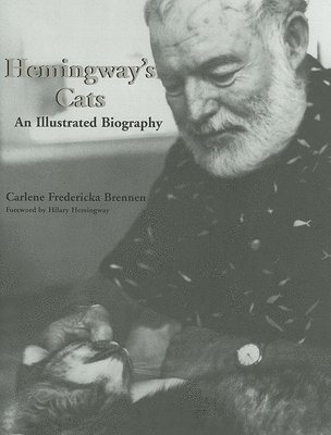 Hemingway's Cats 1