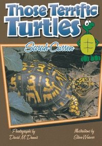 bokomslag Those Terrific Turtles